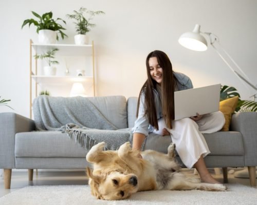 full-shot-woman-working-with-cute-dog