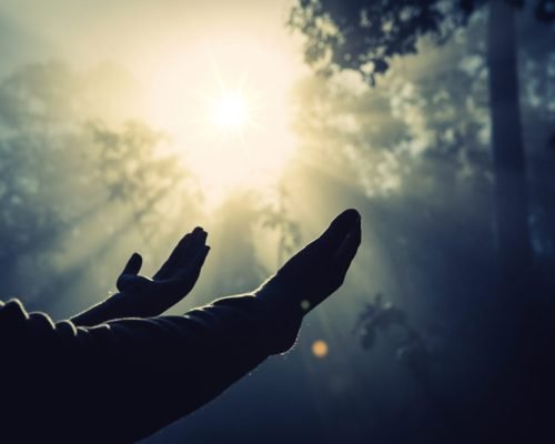 Teenage girl with praying in sunny nature. Young girl meditate i